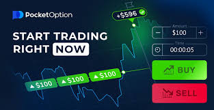 A Comprehensive Guide to Trading on Pocket Option EN